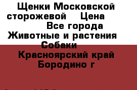 Щенки Московской сторожевой  › Цена ­ 25 000 - Все города Животные и растения » Собаки   . Красноярский край,Бородино г.